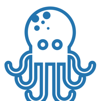 Octopus It   Expert Du Recrutement Tech