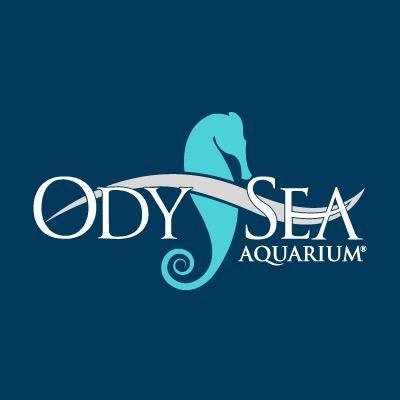 OdySea Aquarium