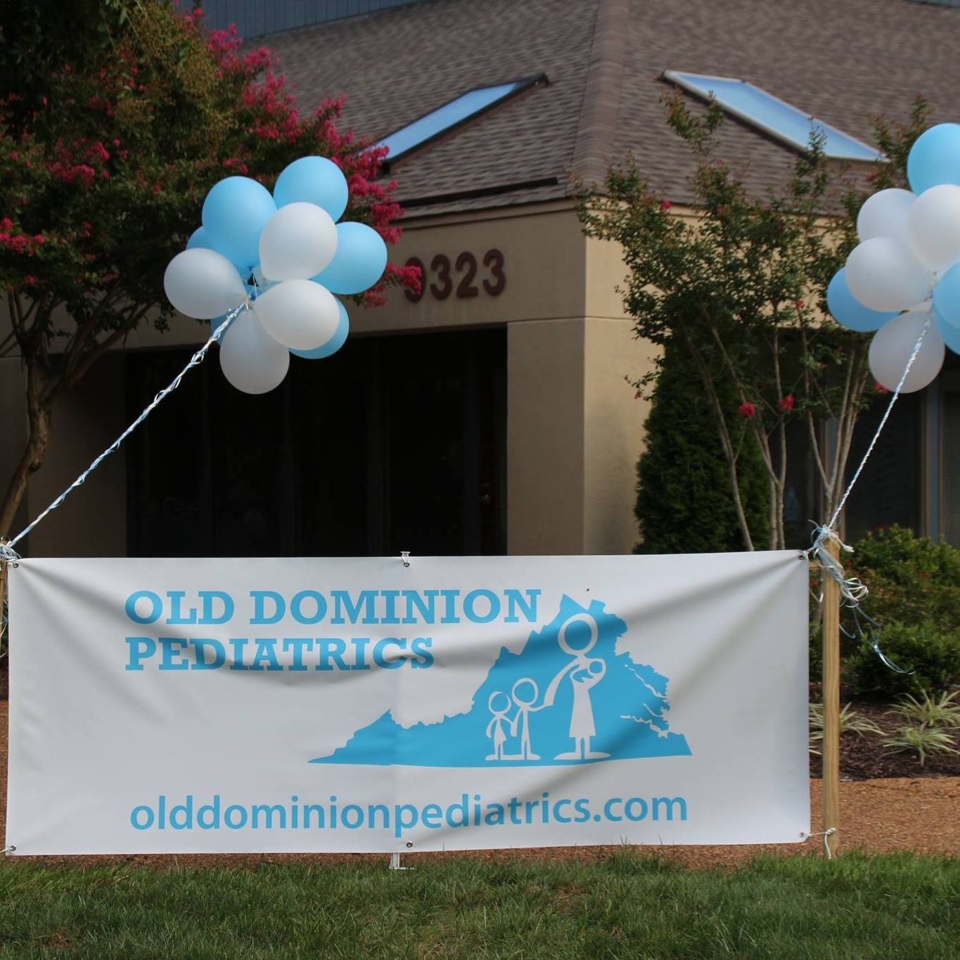 OLD DOMINION PEDIATRICS