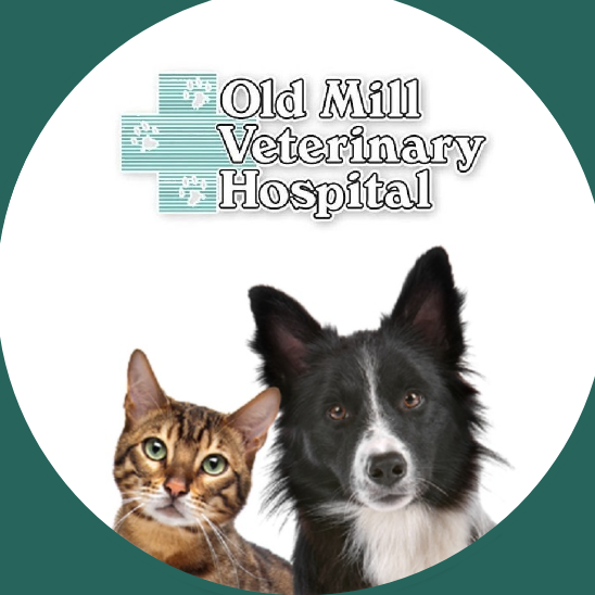 Old Mill Veterinary Hospital