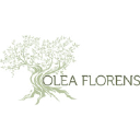 Olea Florens