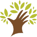 Olive Tree Counselling