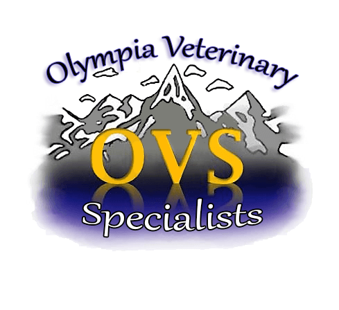 Olympia Veterinary Specialists