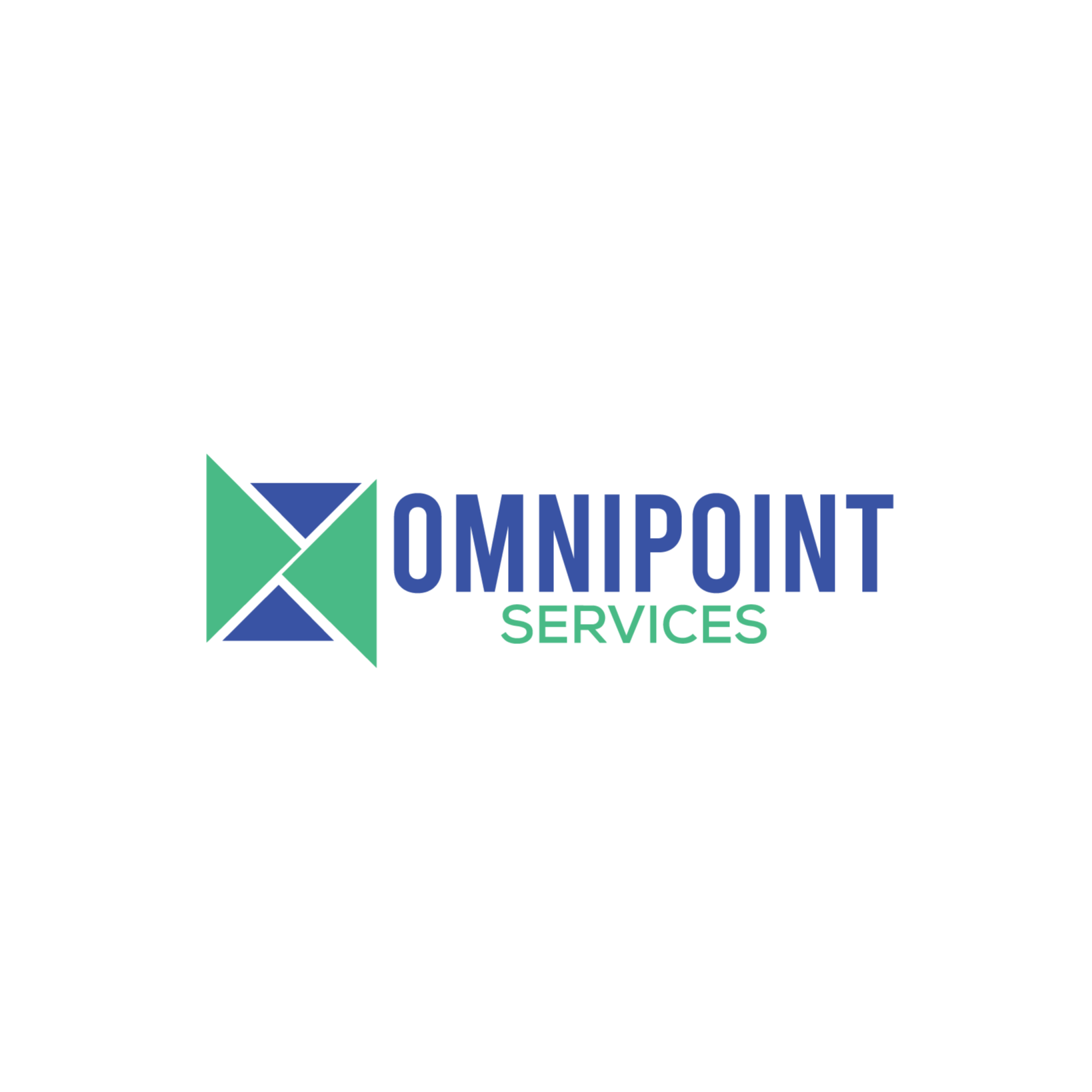 Omnipoint Services Atlanta