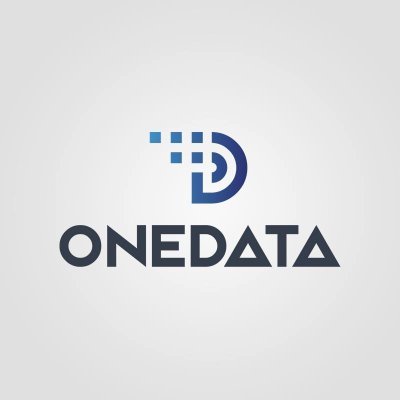 OneData Software Solutions Private