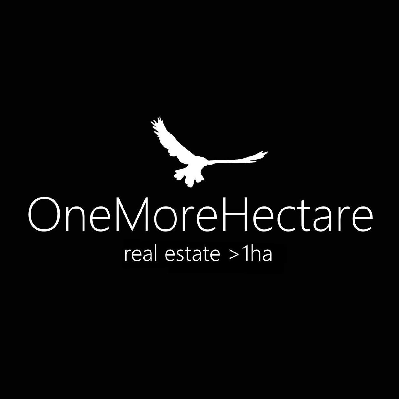 Onemorehectare