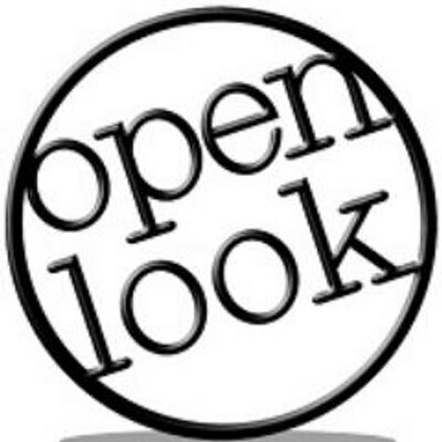 Open Look Business Solutions