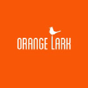 Orange Lark
