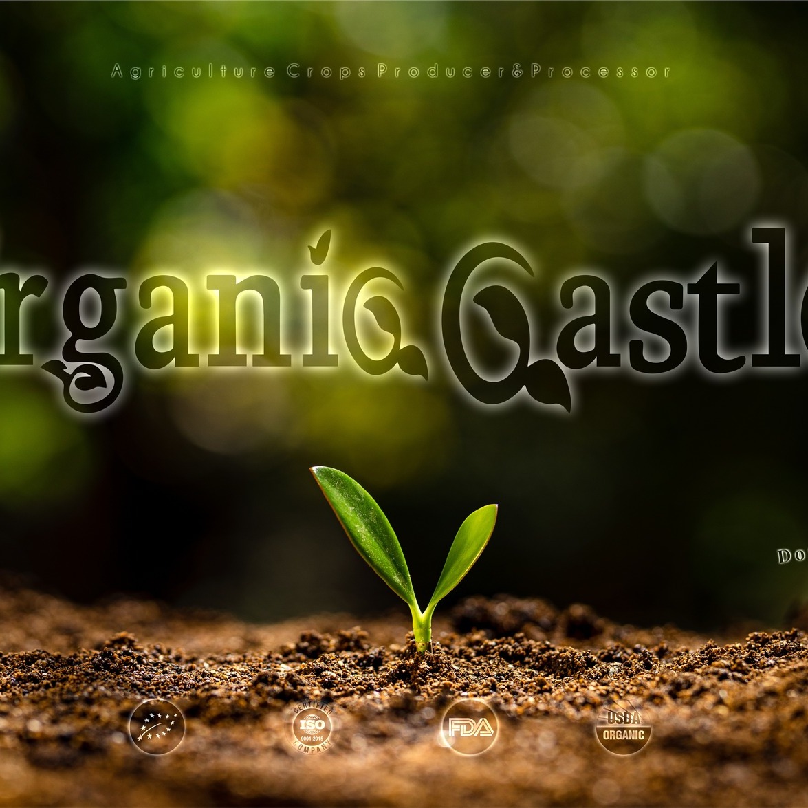 Organic Castle