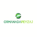 Ormanada Peyzaj