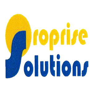 Oroprise Solutions Pvt