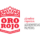 Oro Rojo Agroempresas Palmeras