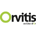 Orvitis