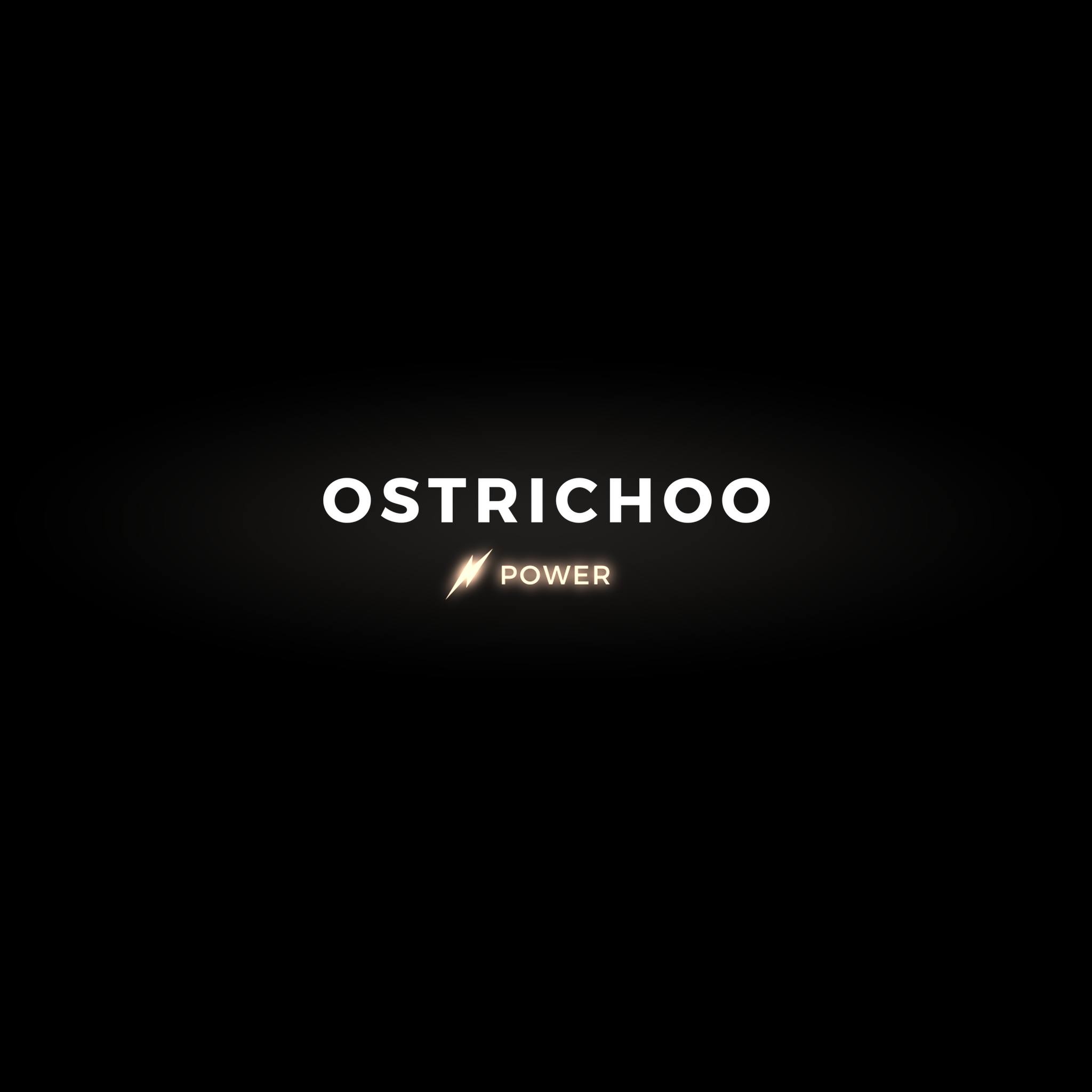 Ostrichoo E-bikes