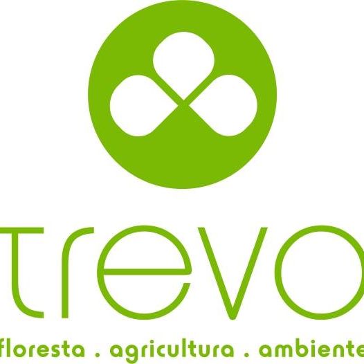 O Trevo