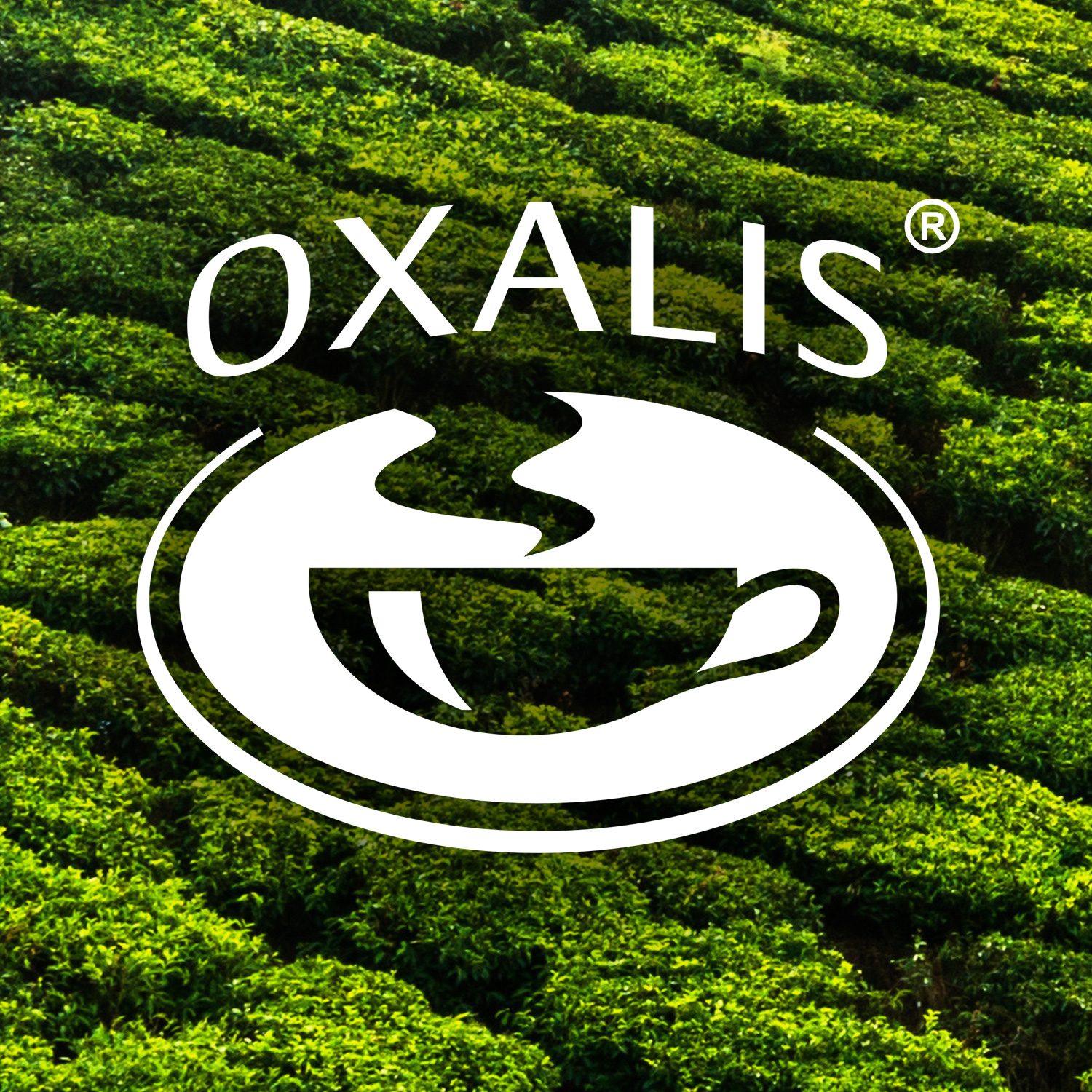 Oxalis Tea And Coffee