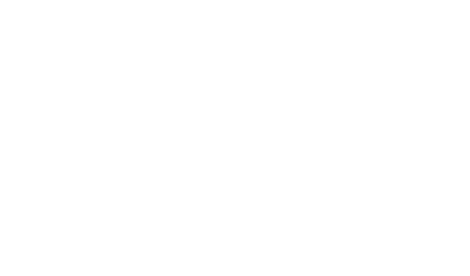 PACIFICWIDE BUSINESS GROUP