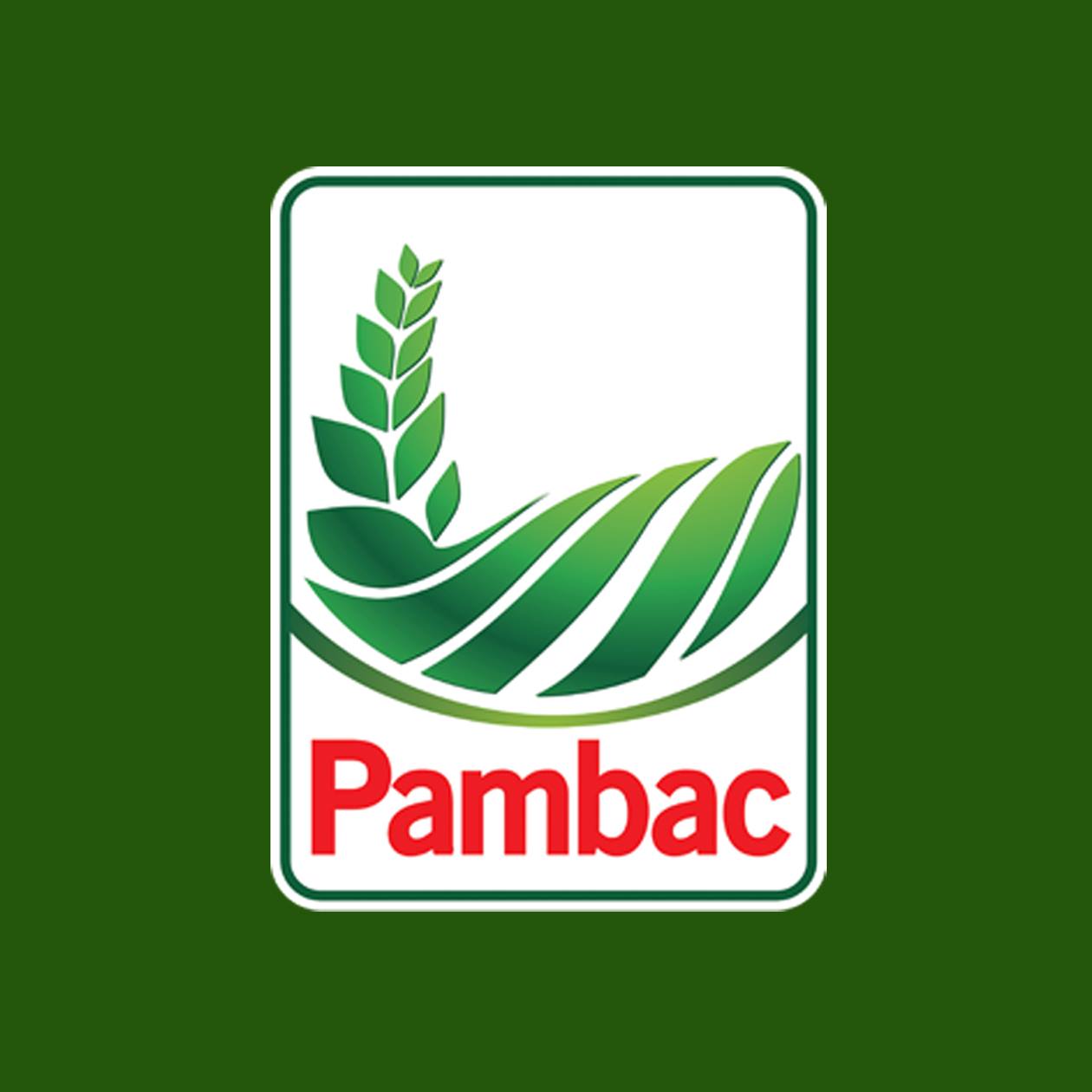 Pambac