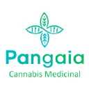 Pangaia Cbd