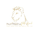 Panthera Palm Beach