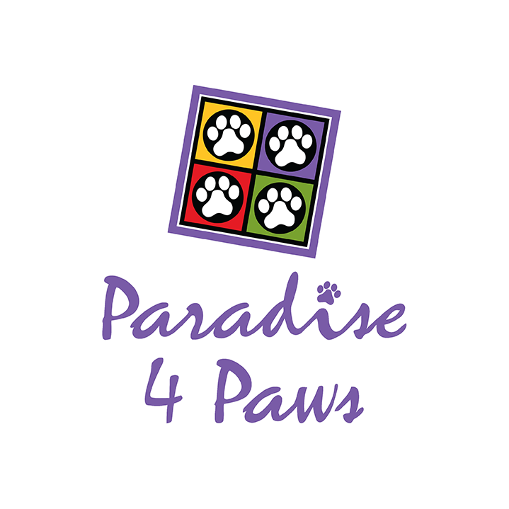 Paradise 4 Paws