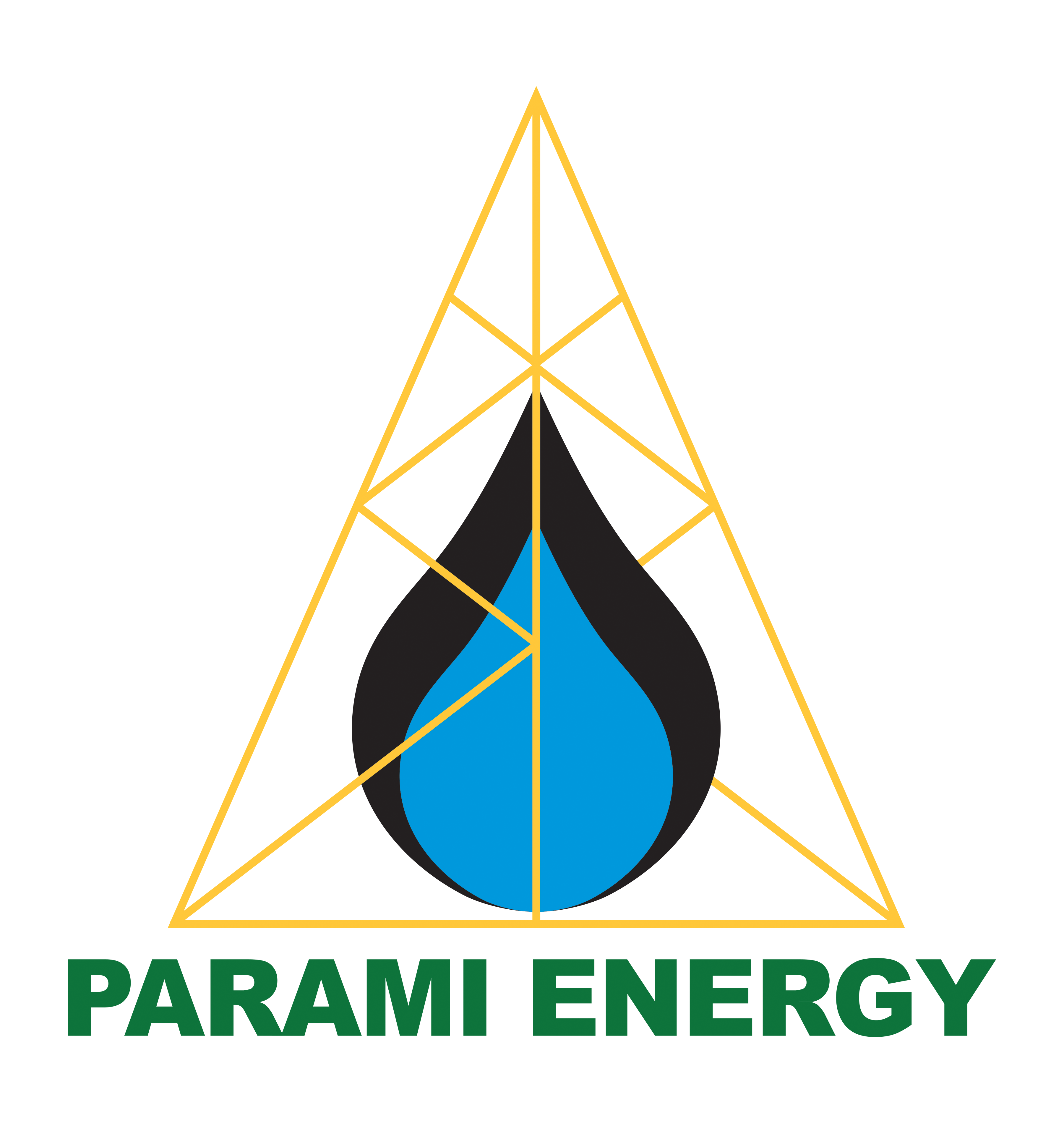 Parami Energy Group of Companies