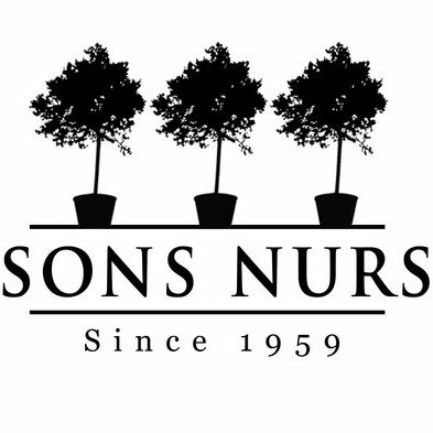 Parsons Nursery