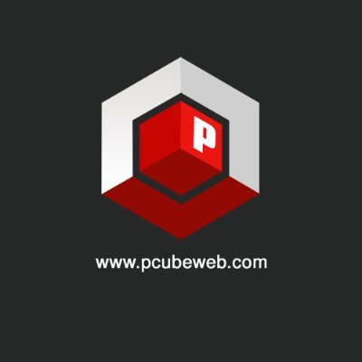 pCube Software Solution