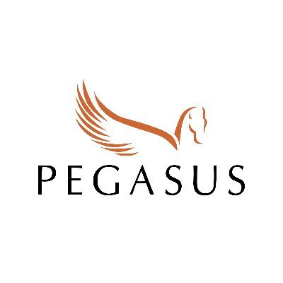 Pegasus Consultancy