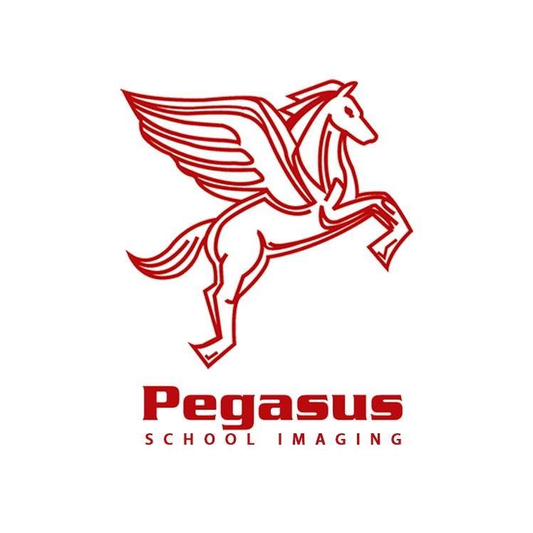 Pegasus School Images