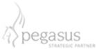 Pegasus Software