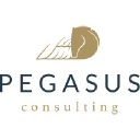 Pegasus Consulting