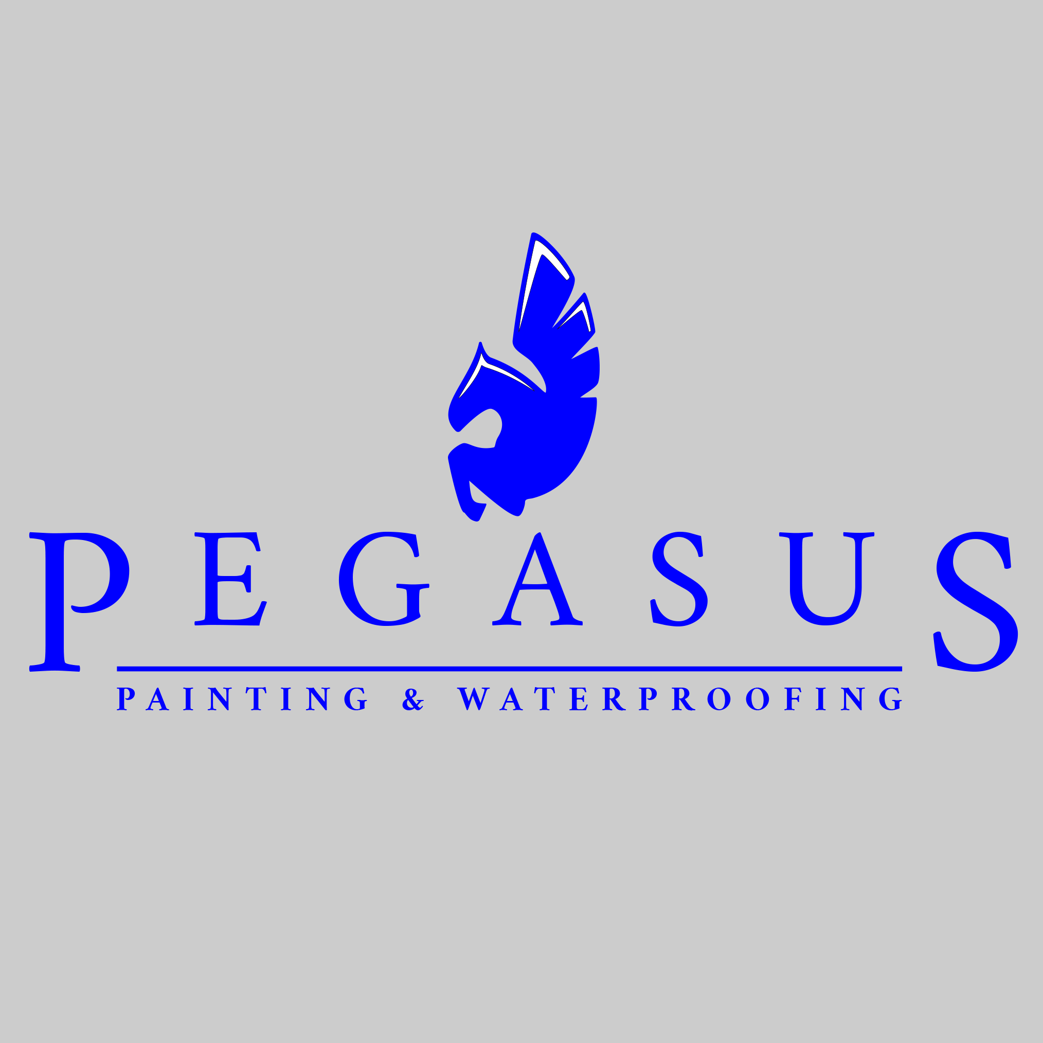 Pegasus Painting & Waterproofing