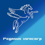 Pegasus InfoCorp Pvt