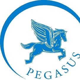 Pegasus Transport