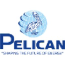 Pelican Energy Consultants