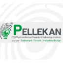 Pellekan Intellectual Property & Technology Institute