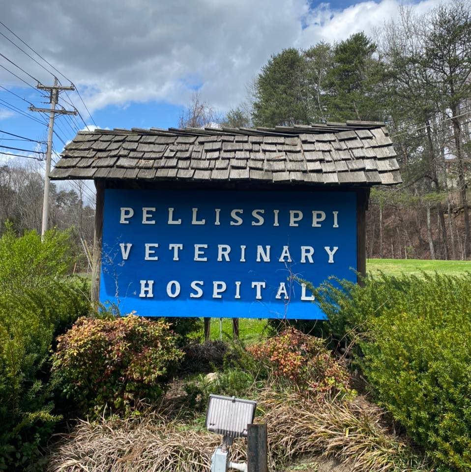 Pellissippi Veterinary Hospital