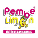 Pembe Limon Zeka Oyunları,Eğitim Malzemeleri, Atölyeleri ve..