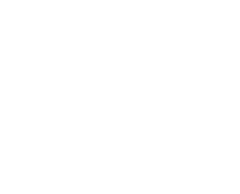 Pentagon Holdings