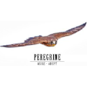 The Peregrine Falcon