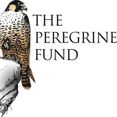 The Peregrine Fund