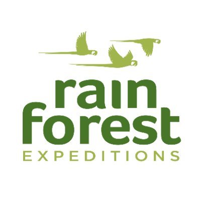 Rainforest Expeditions