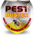 Pestbuster