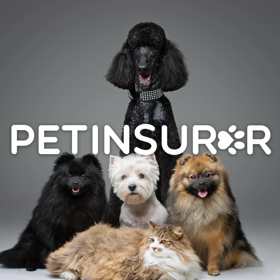 Pet Insurer