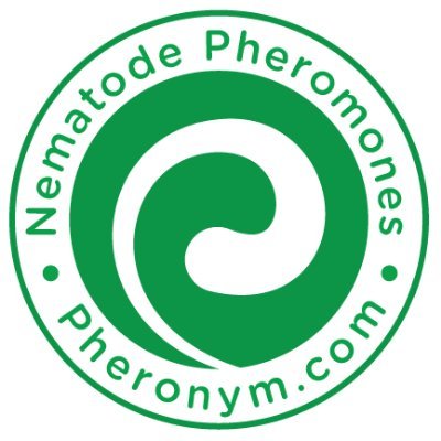 Pheronym