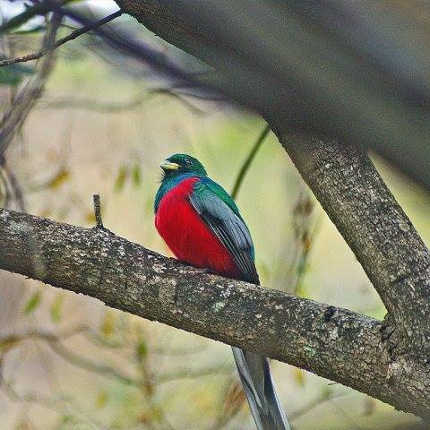 Phophonyane Falls Ecolodge and Nature Reserve