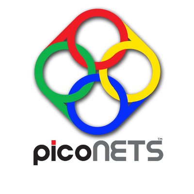 picoNETS