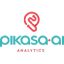 Pikasa Strategic Insight