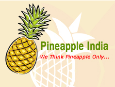 Pineapple India